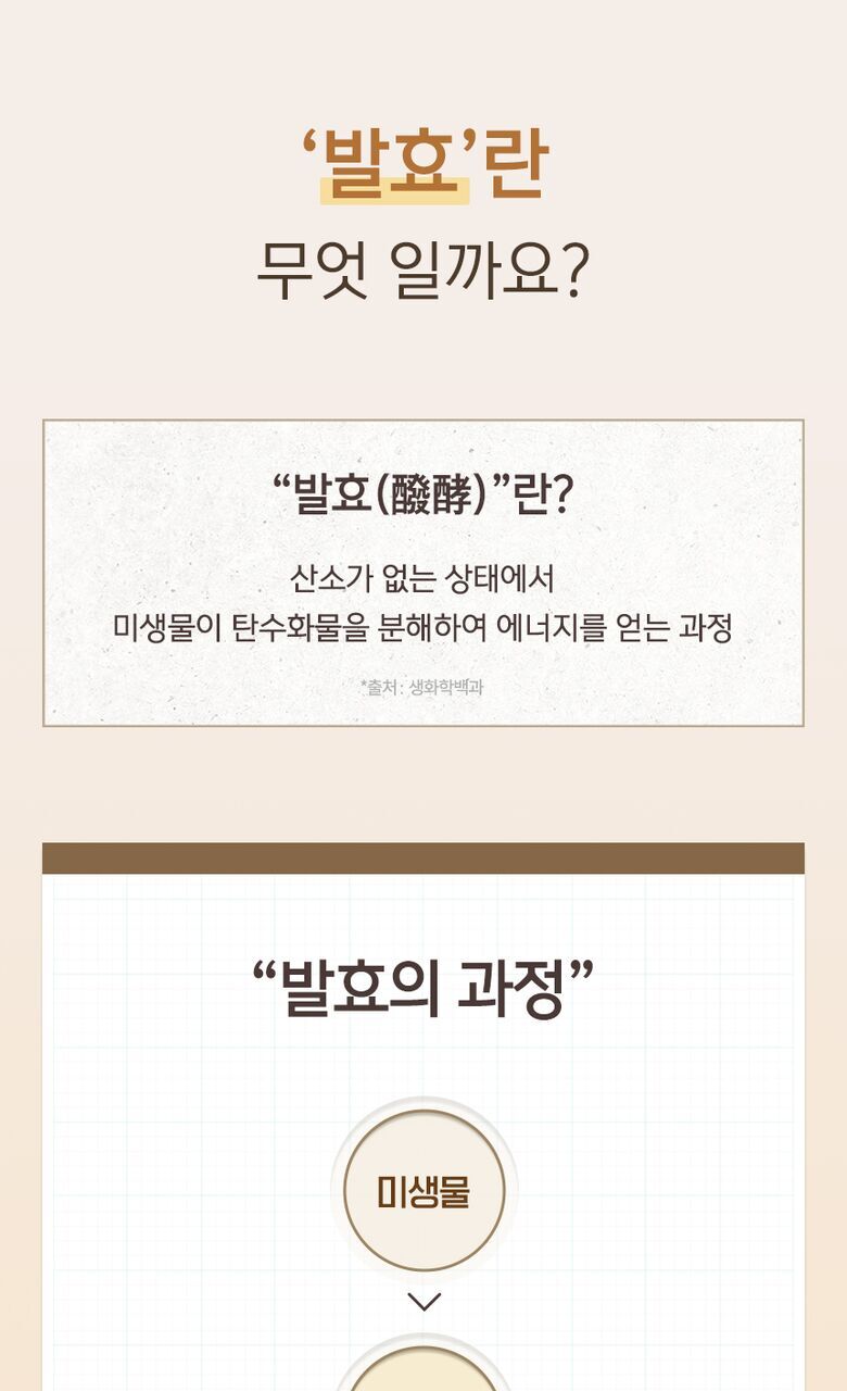 바른 발효효소 상세기술서28